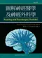 圖解神經醫學及神經外科學(Neurology and Neurosurgery Illustrated 5/e)