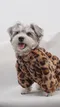 寵物豹紋毛絨外套