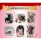 【喵村食堂😊】銀湯匙肉泥勺子 10g X 10入/4入★貓肉泥 貓點心 貓零食☆