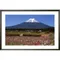 日本富士山5