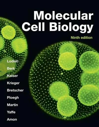 Molecular Cell Biology IE   Z3M6Ly9pbWcubWVlcGNsb3VkLmNvbS9tZWVwc2hvcC9iYjgyNzE0NS04ODViLTQzYjktYTVhMC1lNTU2NjdlYWRlNDAvZmlsZXMvNDk5MTU5M2UtMGM1NC00YmY1LWI0NWMtYWFjODAzNDg5MmI4LmpwZWc