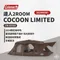 [ Coleman ] ヾ全新品ﾉﾞ  限量版CC3 COCOON  LIMITED一房一廳 2024限定款 達人 2-ROOM COCOON｜CM-05305