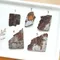 【絕版】超光鐵隕石切片8~10g