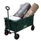 [ Coleman ] 125周年 NX四輪拖車-綠  │CM-24360 125th LIMITED OUTDOOR WAGON NX(GREEN)