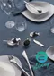【缺貨】ALESSI COLOMBINA FISH SALIERA SPOON 魚形鹽窖 #FM24