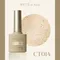 ARTiS di Voce 亮粉甲油膠8g CT014