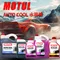 MOTUL AUTO COOL 水箱精 EXPERT 37℃/-35F