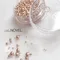 NOVEL Champagne pink brion mix 1212