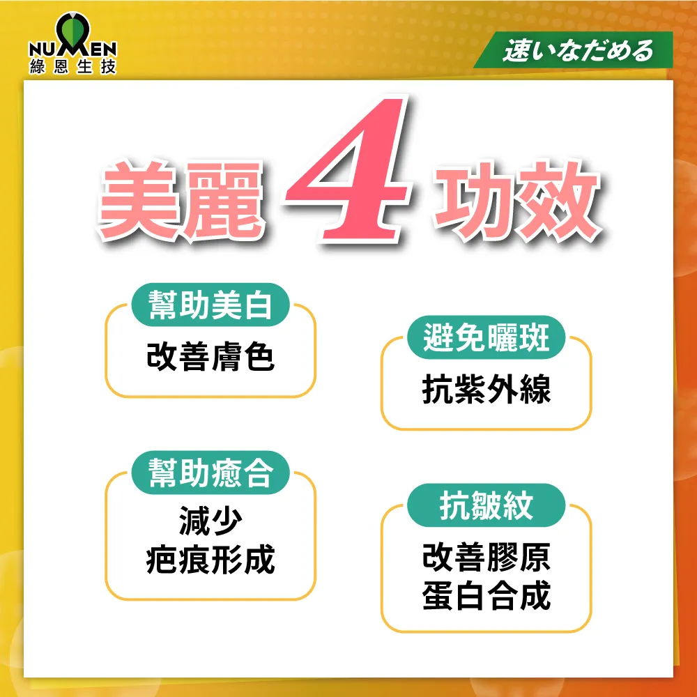 綠恩每日C