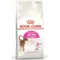 【喵村食堂😊】RoyalCanin皇家貓飼料★貓乾糧 飼料 貓糧★