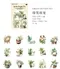 【貼紙包】植物收藏所文藝韓系透明PET多肉植物盆栽造景貼紙