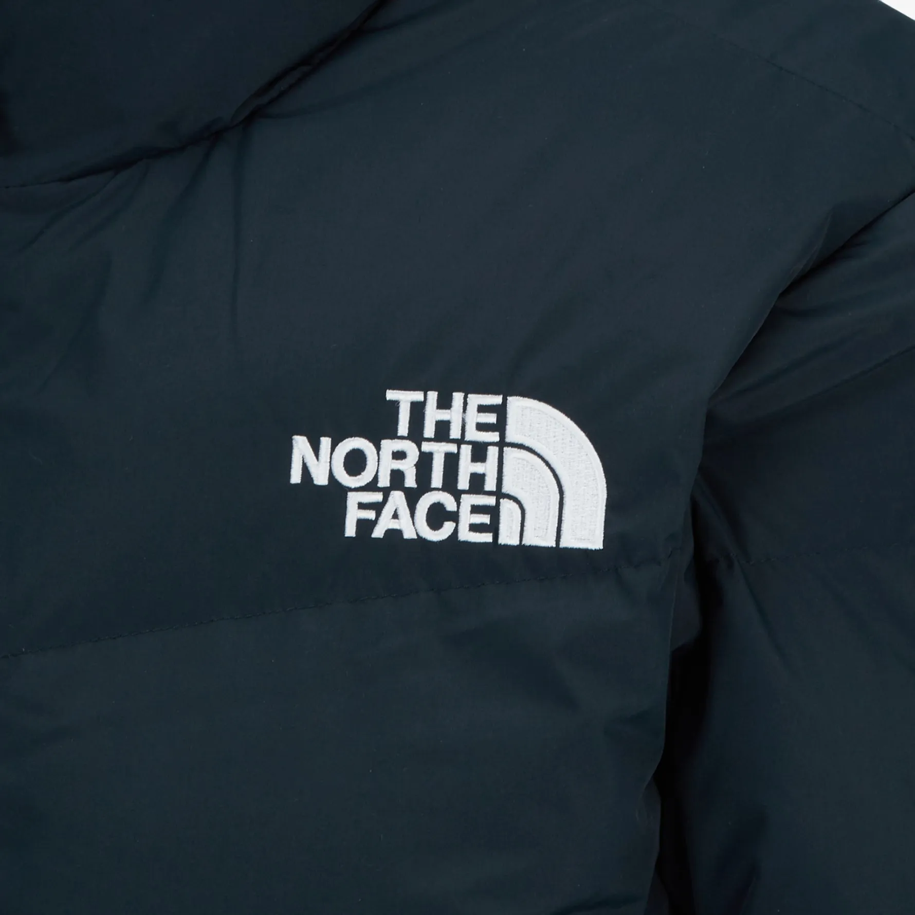 THE NORTH FACE M