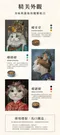 【超值送禮組】幸運燕麥酥-宮廷貓系列(3盒入/每款各1)一盒1提袋