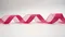 K1677 半緞半紗緞帶 38MM(K1677 Half Sheer Half Satin Ribbon -38MM)