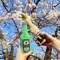 日本LOVE PETS｜國際啤酒瓶(綠黃一組)
