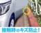 日本SEIKOSANGYO 透明車門護片(4入) EW-131