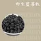 [烘焙食材-果乾] 上果野生藍莓(分裝200G、分裝600g)