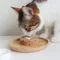 【喵村食堂😊】怪獸部落 益菌排毛粉★保健品 犬貓 腸胃 健康補給 吐毛☆