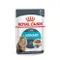 【喵村食堂😊】法國皇家貓主食濕糧85g★Royal Canin★餐包罐頭☆