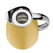 ALFI Vacuum jug Gusto 不銹鋼保溫壼 1L (黃色) #3561.295.100