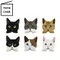 日本TOYO CASE貓咪造型刺繡布貼SS-CAT(日本平行輸入)