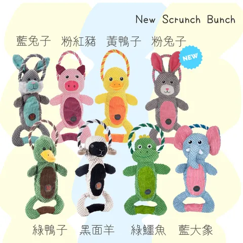 Scrunch Bunch (new)