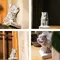 EagleMade® / Year of the Tiger Incense Chamber / （虎年）寅
