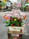B1-2│蘭花盆栽│新北市花店│蘆洲花店│榮升誌慶│喬遷之喜│開幕誌慶│過年送禮│訂花│送花