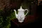 Royal Standard - Fernlea (含 咖啡杯組 糖碗 牛奶壺 咖啡壺)