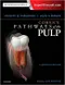 (舊版特價-恕不退換)Cohens Pathways of the Pulp (Expert Consult)