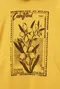 【25FW】After Pray 花卉郵票印花連帽TEE(黃)