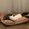 寵物商品／Gottagohome－貓用正方形麵包軟墊