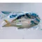 【中華民國全國漁會】玄海御饌-午仔魚禮盒(250克x6尾/盒)(含運)