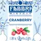 義大利 FABBRI Mixybar Cranberry Syrup 費布里璀璨果露-蔓越莓-1.3kg/1000ml