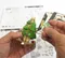 JIGZLE ® 3D-木拼圖-彩色旋轉音樂盒-聖誕樹