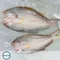 【梓官區漁會】*預購*午仔魚蝴蝶切(280克/尾)(含運)
