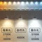 【鹿屋燈飾】DHK-301~2 LED質感皮革觸控式鏡燈