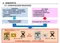 ENEOS X PRIME 0W16 0W20 5W30 5W40 頂級全合成機油 4L 日本製 最新GF6認證