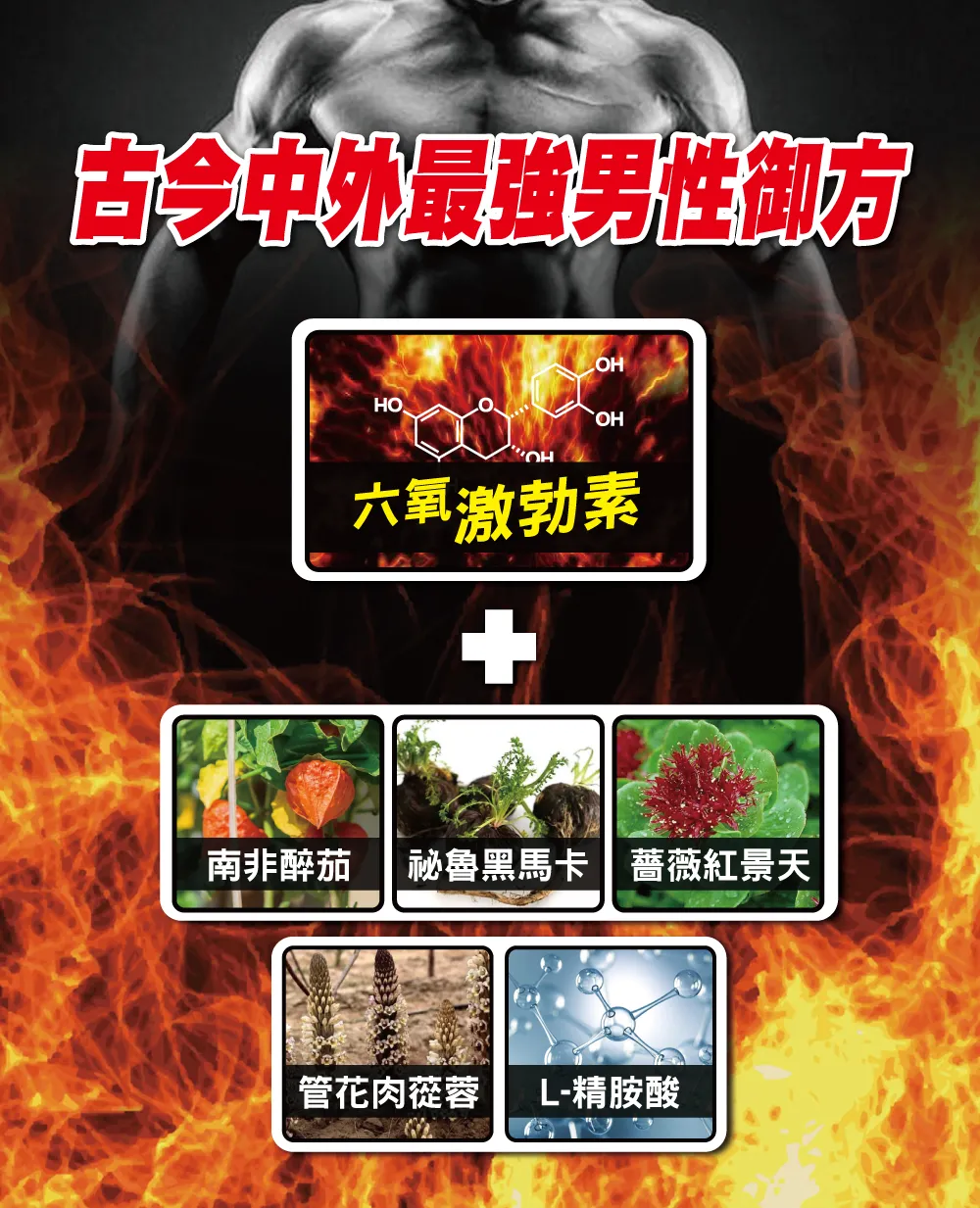 綠恩Blue Power活力膠囊
