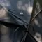 【MURACO】KRAKEN TENT SHELTER