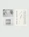 THE FAVORI x NAIL GAMSEONG MUTED ASH 貓眼甲油膠