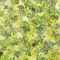 【Lauren Wan 設計師｜網購獨家】Sunlit Garden 暖陽花落系列：漫舞繽紛落花・質感印花布 (棉布/4色)