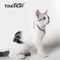 Touchcat | 日系復古寵物項圈