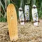 [交通板] Arbor Skateboards - Pilsner 28.75" Bamboo
