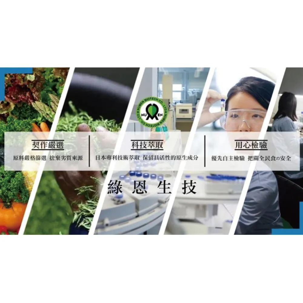 綠恩孅享樂