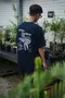 酉 5pm.twcaudex® - BE RICH PLANT MORE / Pachypodium windsorii TEE / 湛藍