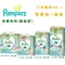 幫寶適 Pampers 日本境內 一級幫尿布 褲型／黏貼型
