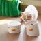 PURROOM | 小雞陶瓷寵物碗