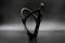 TIC-5 Bottle Cage