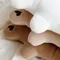 韓國小熊定型枕